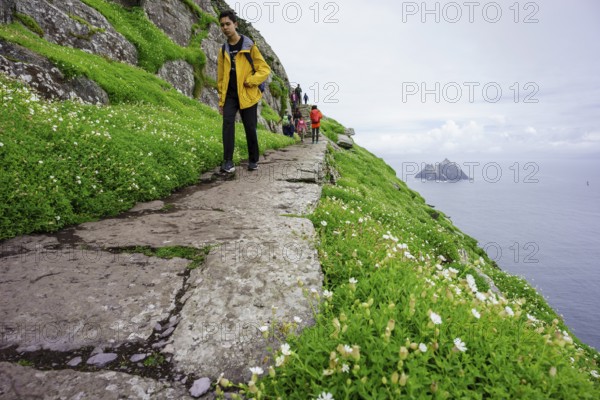 Visitors on the steep path up to the monastery, Skellig Michael island, Mainistir Fhionáin (St. Fionan?s Monastery), county Kerry, Ireland, United Kingdom