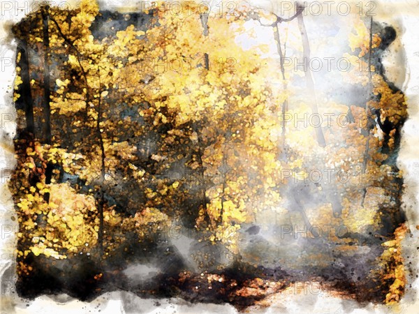Watercolor painting of morning sun shining though a clearing in autumn forest with sunlight shining on bright autumn woodland trees with fallen leaves on the ground