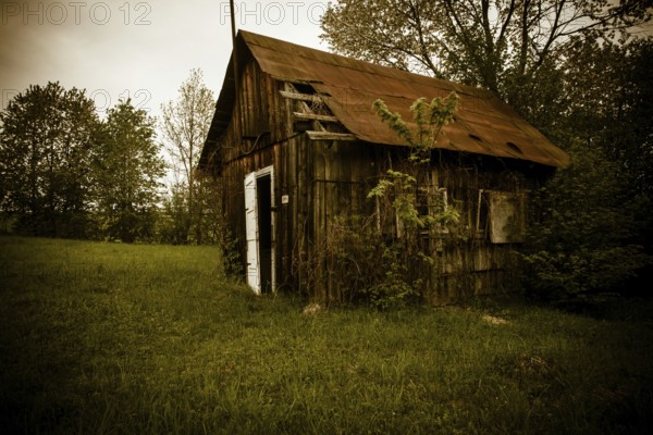 Old abandones lonely house near the forest