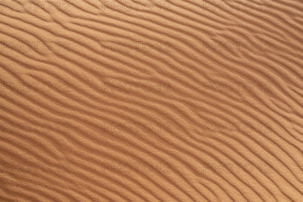 Scenic sand pattern on a desert's dune, drawn from the wind, Morocco