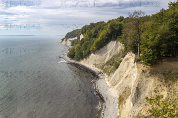 View of the chalk cliffs