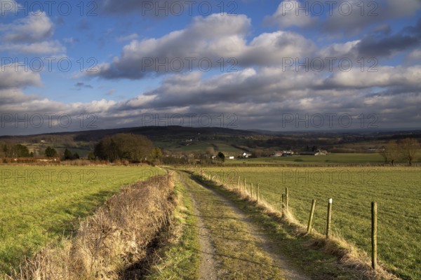 Landscape near Epen in the Dutch province Limburg