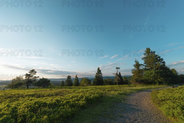 German beauty Rothaargebirge