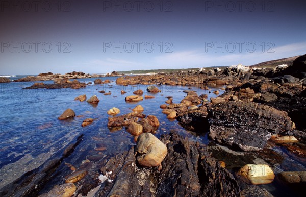 Rocky coast, South Africa, Port Elizabeth, Ibhayi