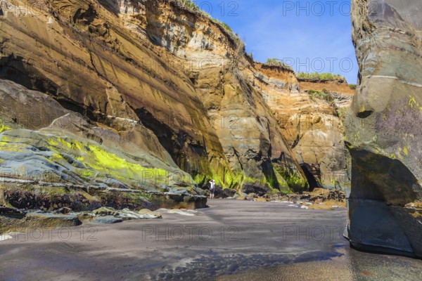 The concept of active and phototourism. The Pacific coast, New Zealand, North Island. Powerful coastal arches and rocks to the ocean tide