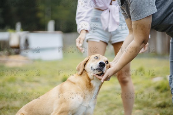 A yellow dog being pet by two people, showing a connection between humans and animals