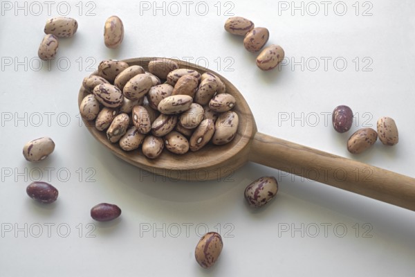 Quail beans on olive wood spoon. Dried pinto beans