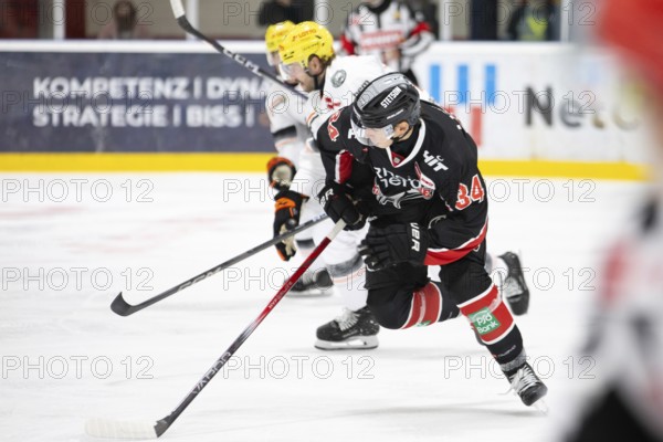 Elias Lindner (Cologne Sharks, #34), PENNY DEL, Test match Cologne Sharks - Lions Frankfurt on 25.08.2024 at K2 in Cologne Germany .photo: Laura Dick