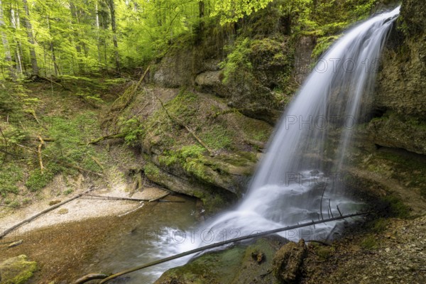 Side view of a waterfall flowing in a mossy forest area, surrounded by tall trees, Hasenreuter Wasserfall, Scheidegg, Bavaria, Germany