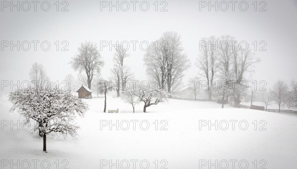 Winter landscape in the Alps, Tyrol, Wildschönau, Austria