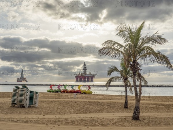 A quiet beach with palm trees, pedal boats and a slightly cloudy sky over the sea, tenerife, canary islands, spain