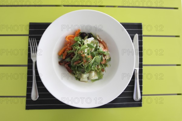 Restaurant menu. Dishes which give at restaurants. Salads, second courses, pizza and other