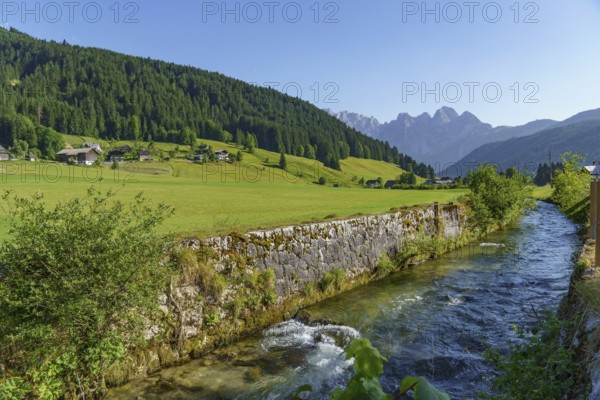 A clear river flows between wide green meadows and a mountain landscape under a bright blue sky, small stream in a valley in the mountains with green meadows and forests, gosau, austria