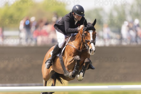 Charlie Jones of Great Britain and riding Capitale 6, compete in the 1.60m Grand Prix during The Continental international competition at Spruce Meadows, in Calgary, Canada, North America
