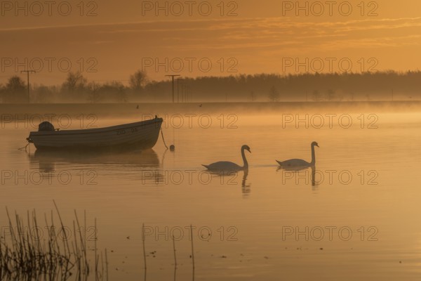 Fishing boat in the morning fog