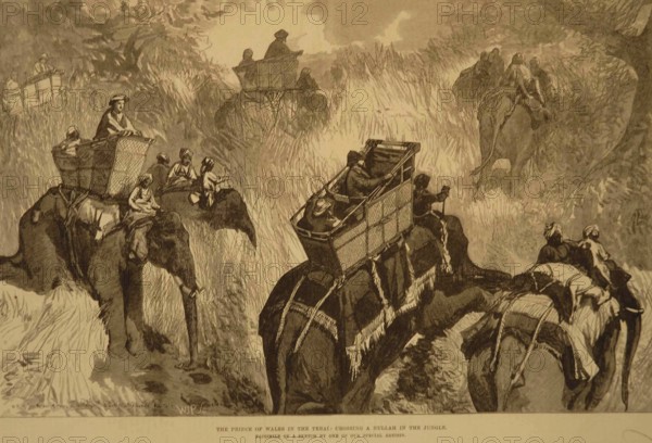 Lithographs The Prince of Wales in Terai crossing Nullah in Jungle, India