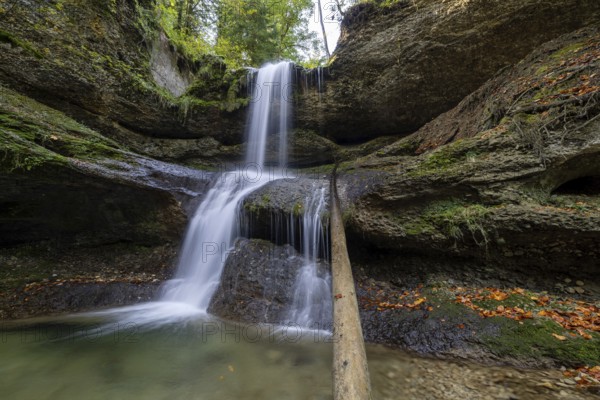 A waterfall flows over moss-covered rocks in a secluded forest, covered with autumn leaves, Hasenreuter Wasserfall, Scheidegg, Bavaria, Germany