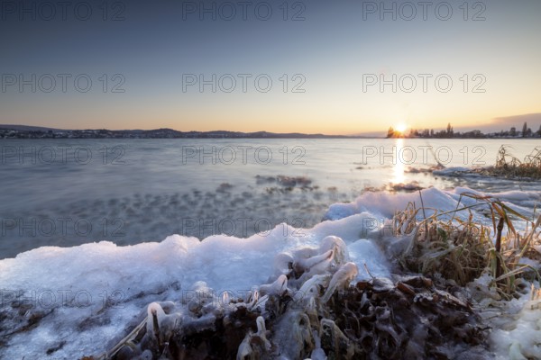 Snow-covered and icy shore of a lake at sunrise, Niederzell, Reichenau, Lake Constance, Baden-Württemberg, Germany