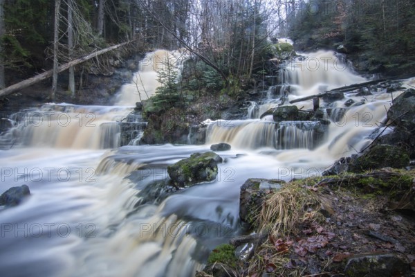 Landscape shot of a large waterfall in a spruce and birch forest and in nature. Autumn landscape with a river becoming the Byklevsfallet waterfall. Vänersborg, Sweden, Scandinavia