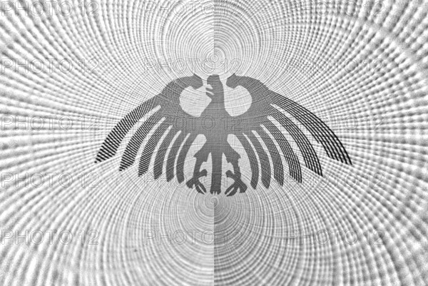 Federal eagle