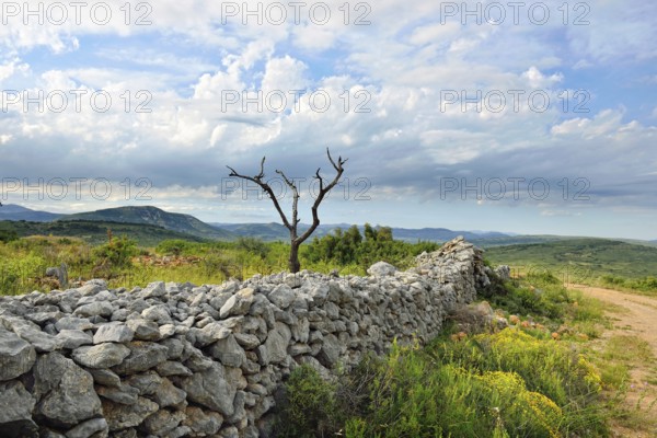 Rural landscape with mountain views near the town of Ares in Spain. Old ruined wall in the field