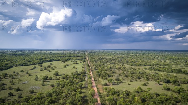 Aerial view of Transpantaneira dirt road crossing straight the North Pantanal Wetlands, Mato Grosso, Brazil
