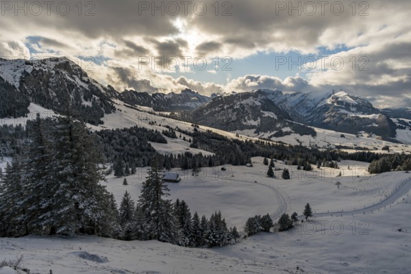Wonderful winter hike from Restaurant Eggli over the Forstseeli and Diepoldsauer sponge to the Fahnerenspitz in the Appenzeller Land in Switzerland