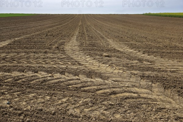 Field with tractor tracks, prepared for sowing, Swabian Alb, Field with tractor tracks, prepared for sowing, Swabian Alb, Germany