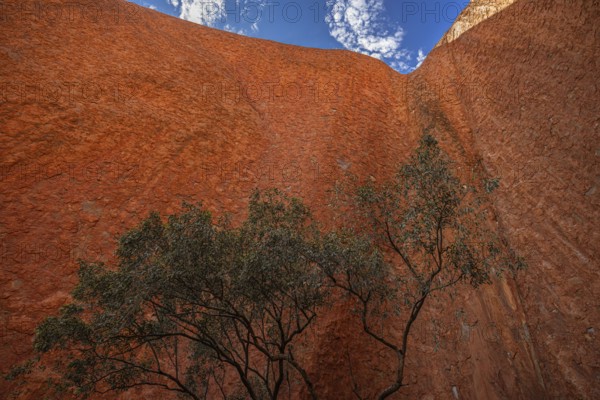Uluru, formerly Ayers Rock, partial view, Uluru-Kata Tjuta National Park, Northern Territory, Australia