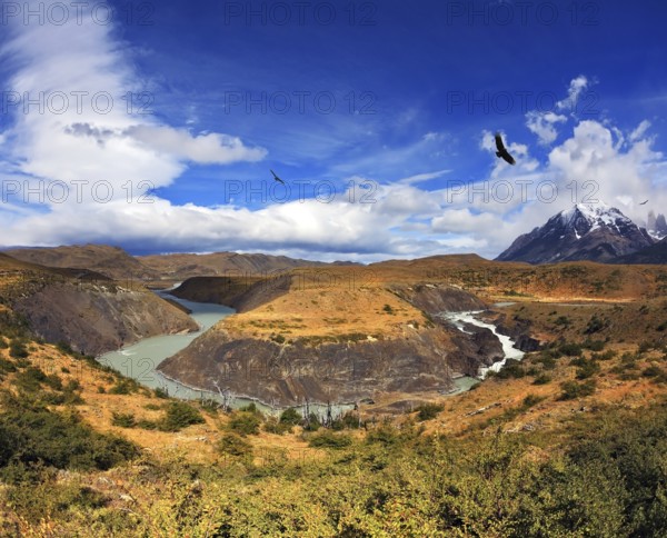 Horseshoe Paine. The national park Torres del Paine, Patagonia, Chile. Paine river bends in a horseshoe shape around the picturesque hills. In the sky, floating giant Andean condor