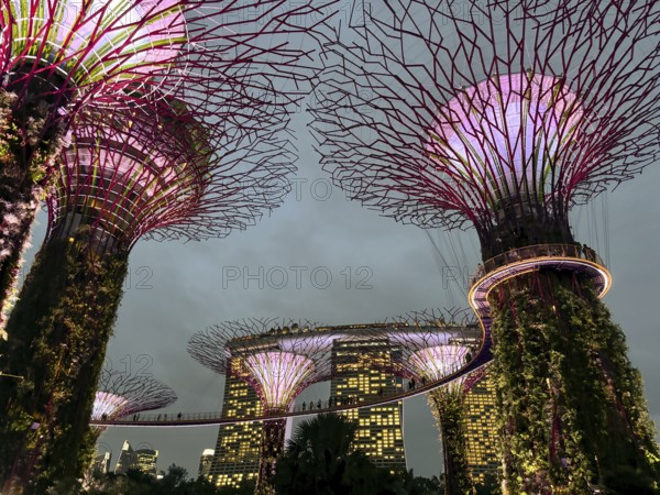 Illuminated supertrees and modern buildings in urban environment at night, living lights, singapore, aisia