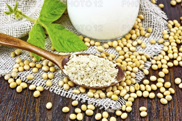 Soy flour in a spoon and milk in glass jug, soybeans and a leaf on napkin of burlap on wooden board background