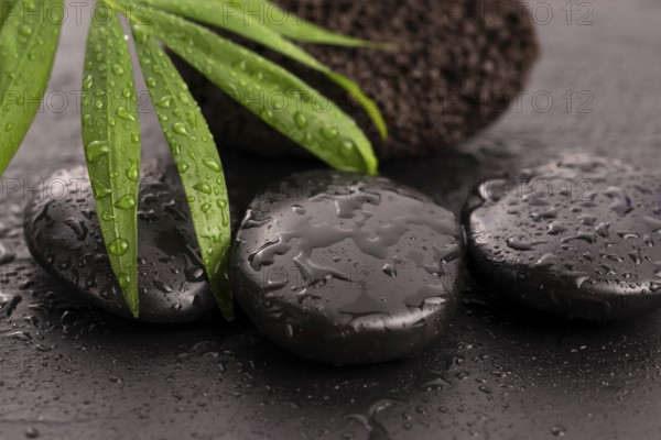 Green leaf on spa stone on wet black surface