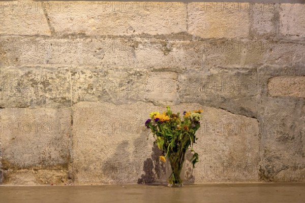 Flowers in front of a stone wall, symbol of decoration, transience Austria