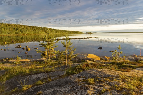 Evening on the White Sea. Kandalaksha Gulf, Karelia, Russia, end of June