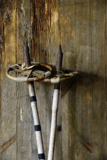 Old vintage ski poles on a wooden background