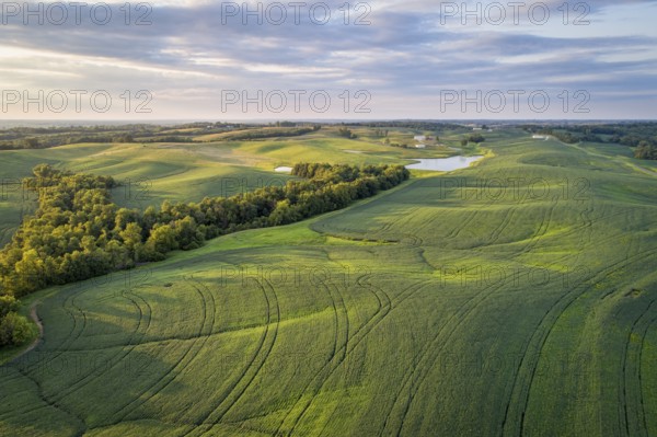 Aerial view of green soybean fields s in a valley of the Missouri River, near Glasgow, MO, late summer