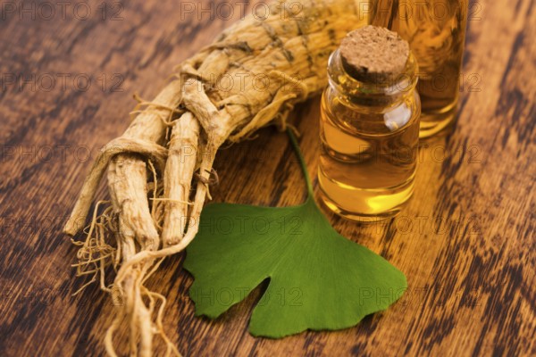 Extract of ginseng root and ginkgo biloba leaves