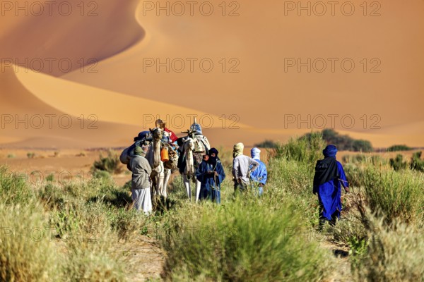 Group of people and camels in a sandy, vegetation-poor desert with high dunes, Tuareg with his camel caravan in the Sahara in Algeria