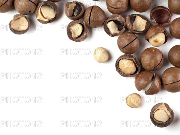 Set of macadamia nuts on white background. Set of macadamia nuts - whole unshelled, with open shells, and shelled. Isolated on white. Copy space for text. Top view or flat lay