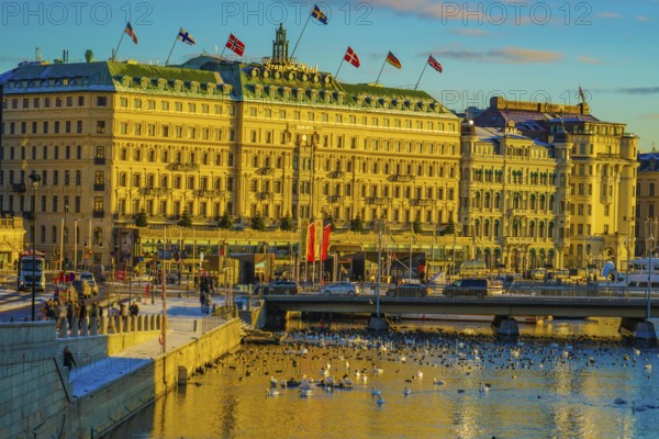 Stockholms morning ray Sweden. Shooting Location: Sweden, Stockholm