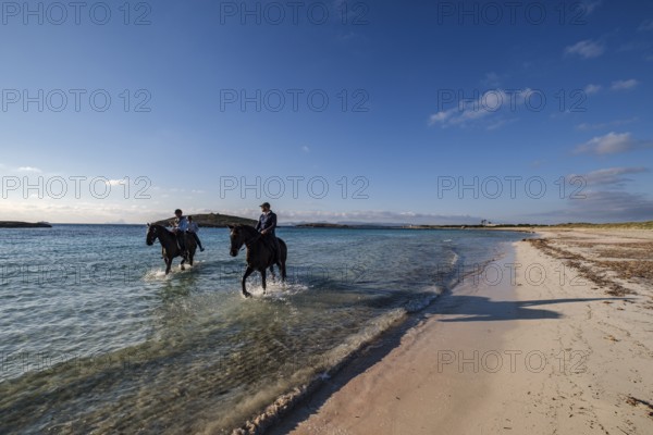 Illetes beach, riding a horse, Formentera, Pitiusas Islands, Balearic Community, Spain