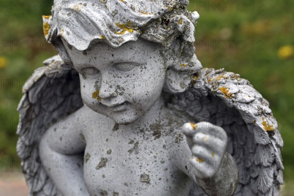 Moat angel