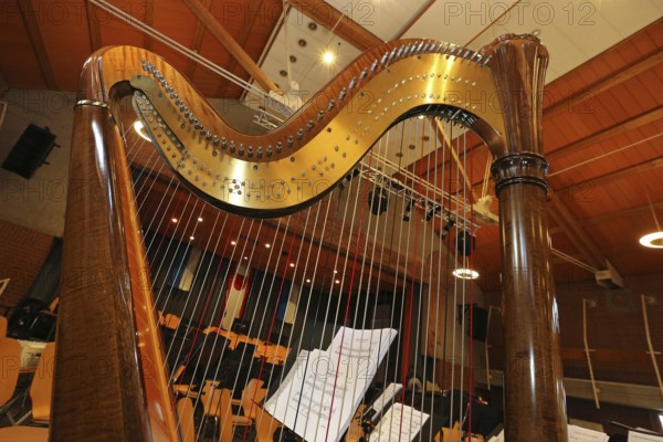 Harp