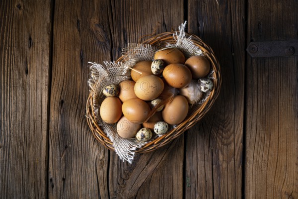 Fresh eggs straight from the farm in a basket