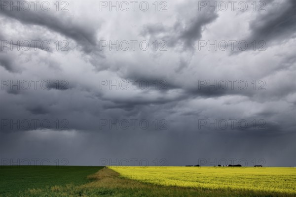 Prairie Storm Clouds in Saskatchewan Canada rural setting