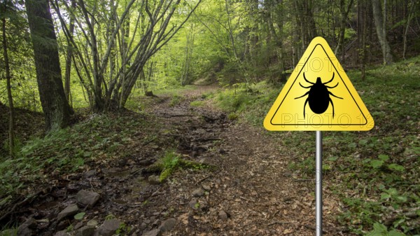 Tick insect warning sign in infected forest. Lyme disease and meningitis transmitter