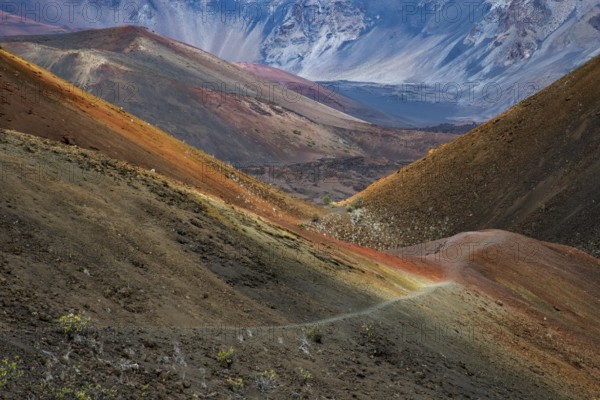 The barren ground of the stony desert glows in bright colours