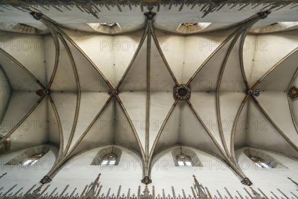 Saint Nicolas Church is a Gothic cathedral in Trnava, Slovakia. Interior, ceiling