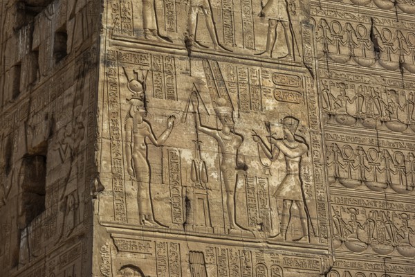 Hieroglyphic carvings on the exterior walls of an ancient egyptian temple